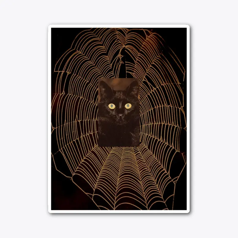 cat in the cobweb