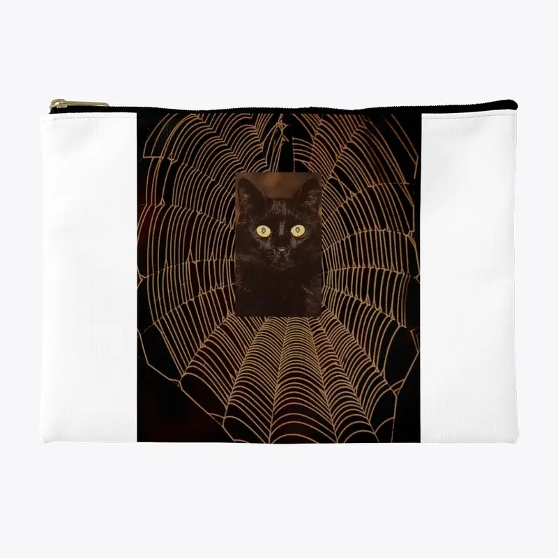 cat in the cobweb