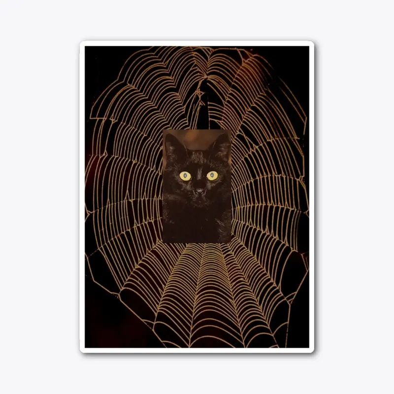 cat in the cobweb