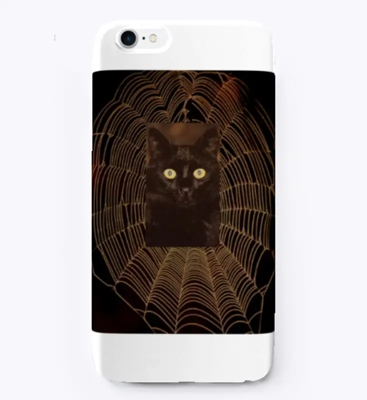 cat in the cobweb